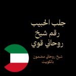 جلب الحبيب رقم شيخ روحاني قوي